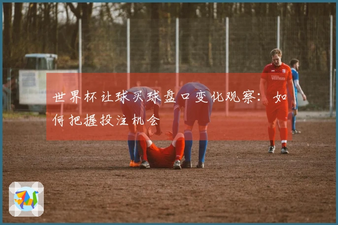 世界杯让球买球盘口变化观察：如何把握投注机会