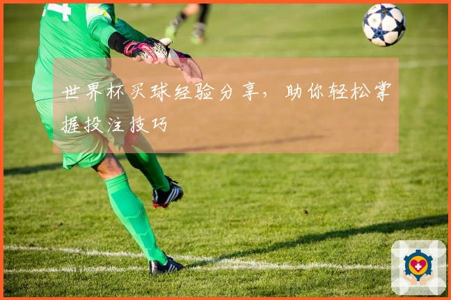 世界杯买球经验分享，助你轻松掌握投注技巧