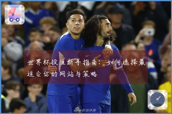 世界杯投注新手指南：如何选择最适合你的网站与策略