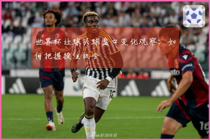 世界杯让球买球盘口变化观察：如何把握投注机会
