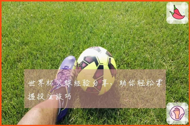 世界杯买球经验分享，助你轻松掌握投注技巧