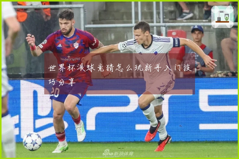 世界杯滚球竞猜怎么玩新手入门技巧分享